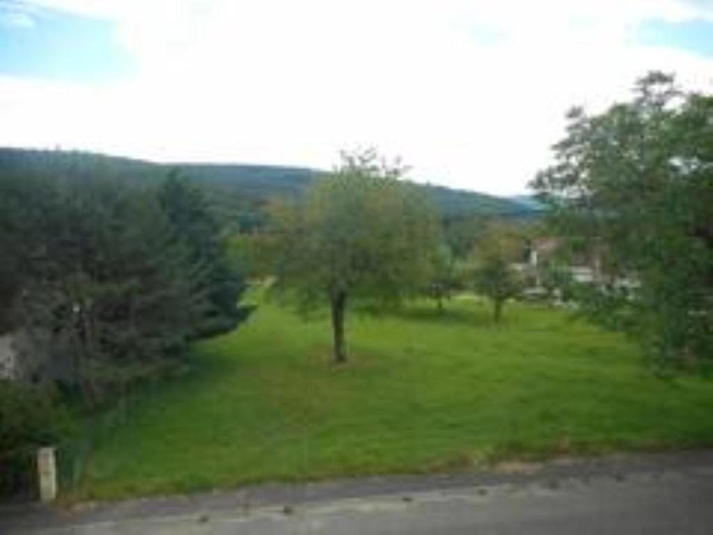 Gite Spacieux, Lumineux Et Tres Cosy Lautenbach Exterior foto
